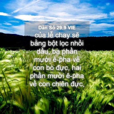 Picture 04 - Dân Số 29:9 VIE - của lễ chay sẽ bằng bột lọc nhồi - Bible Verse Picture