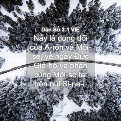 Picture 04 - Dân Số 3:1 VIE - Nầy là dòng dõi của A-rôn và Môi-se, - Bible Verse Picture
