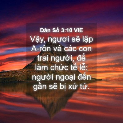 Picture 04 - Dân Số 3:10 VIE - Vậy, ngươi sẽ lập A-rôn và các con - Bible Verse Picture