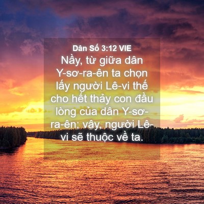 Picture 04 - Dân Số 3:12 VIE - Nầy, từ giữa dân Y-sơ-ra-ên ta chọn - Bible Verse Picture