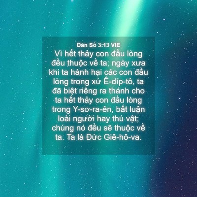 Picture 04 - Dân Số 3:13 VIE - Vì hết thảy con đầu lòng đều thuộc - Bible Verse Picture