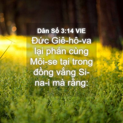 Picture 04 - Dân Số 3:14 VIE - Đức Giê-hô-va lại phán cùng Môi-se - Bible Verse Picture