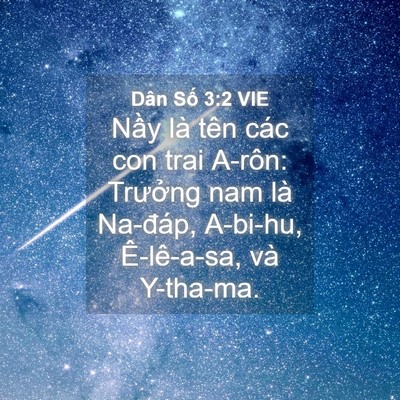 Picture 04 - Dân Số 3:2 VIE - Nầy là tên các con trai A-rôn: Trưởng - Bible Verse Picture