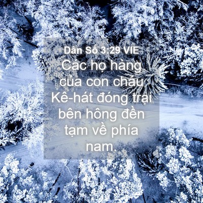 Picture 04 - Dân Số 3:29 VIE - Các họ hàng của con cháu Kê-hát đóng - Bible Verse Picture