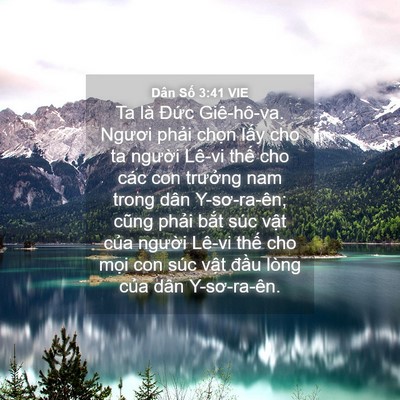 Picture 04 - Dân Số 3:41 VIE - Ta là Đức Giê-hô-va. Ngươi phải chọn - Bible Verse Picture
