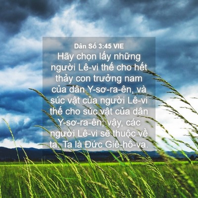 Picture 04 - Dân Số 3:45 VIE - Hãy chọn lấy những người Lê-vi thế - Bible Verse Picture