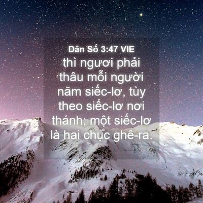 Picture 04 - Dân Số 3:47 VIE - thì ngươi phải thâu mỗi người năm - Bible Verse Picture