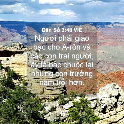 Picture 04 - Dân Số 3:48 VIE - Ngươi phải giao bạc cho A-rôn và các con - Bible Verse Picture