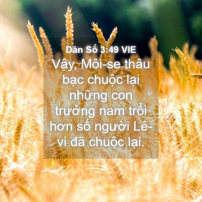 Picture 04 - Dân Số 3:49 VIE - Vậy, Môi-se thâu bạc chuộc lại những - Bible Verse Picture