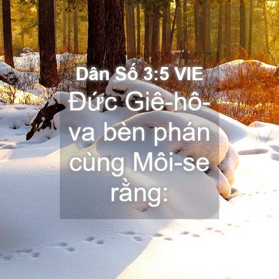 Picture 04 - Dân Số 3:5 VIE - Đức Giê-hô-va bèn phán cùng Môi-se - Bible Verse Picture