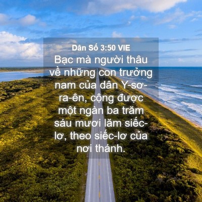 Picture 04 - Dân Số 3:50 VIE - Bạc mà người thâu về những con - Bible Verse Picture