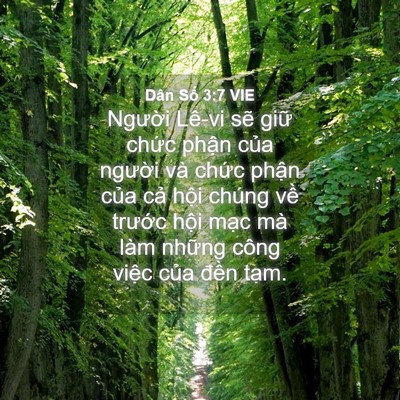 Picture 04 - Dân Số 3:7 VIE - Người Lê-vi sẽ giữ chức phận của - Bible Verse Picture