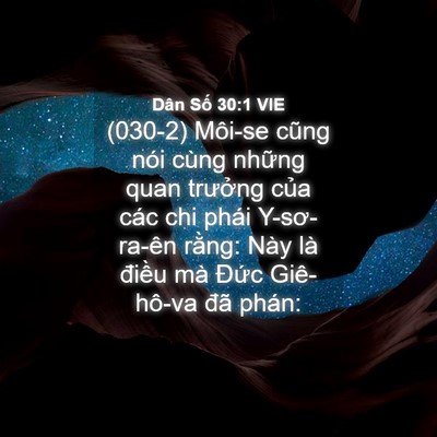 Picture 04 - Dân Số 30:1 VIE - (030-2) Môi-se cũng nói cùng những quan - Bible Verse Picture