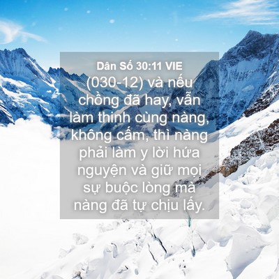 Picture 04 - Dân Số 30:11 VIE - (030-12) và nếu chồng đã hay, vẫn làm - Bible Verse Picture