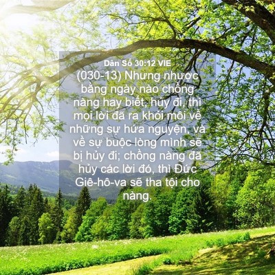 Picture 04 - Dân Số 30:12 VIE - (030-13) Nhưng nhược bằng ngày nào - Bible Verse Picture