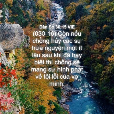 Picture 04 - Dân Số 30:15 VIE - (030-16) Còn nếu chồng hủy các sự hứa - Bible Verse Picture