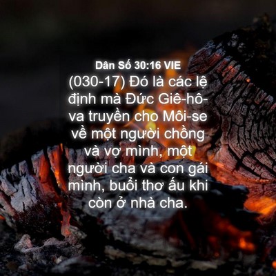 Picture 04 - Dân Số 30:16 VIE - (030-17) Đó là các lệ định mà Đức - Bible Verse Picture