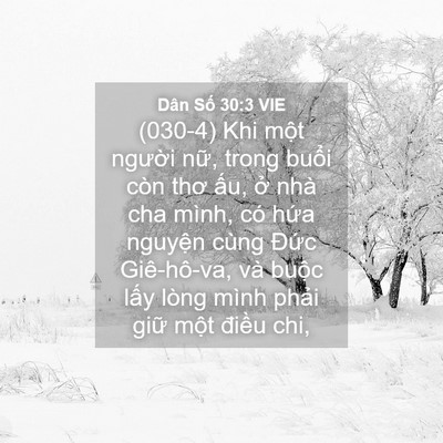 Picture 04 - Dân Số 30:3 VIE - (030-4) Khi một người nữ, trong buổi - Bible Verse Picture