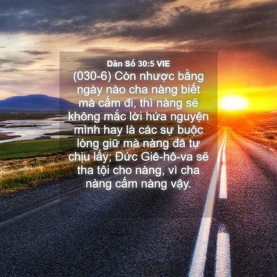 Picture 04 - Dân Số 30:5 VIE - (030-6) Còn nhược bằng ngày nào cha nàng - Bible Verse Picture