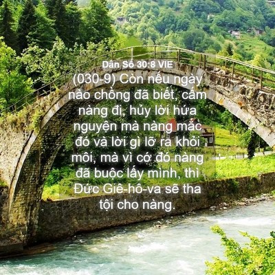Picture 04 - Dân Số 30:8 VIE - (030-9) Còn nếu ngày nào chồng đã - Bible Verse Picture
