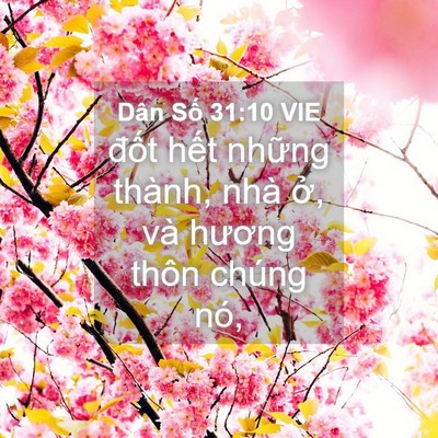 Picture 04 - Dân Số 31:10 VIE - đốt hết những thành, nhà ở, và - Bible Verse Picture