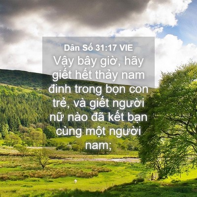 Picture 04 - Dân Số 31:17 VIE - Vậy bây giờ, hãy giết hết thảy nam - Bible Verse Picture