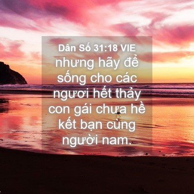 Picture 04 - Dân Số 31:18 VIE - nhưng hãy để sống cho các ngươi hết - Bible Verse Picture