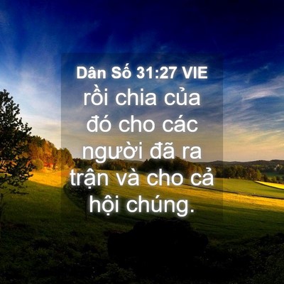 Picture 04 - Dân Số 31:27 VIE - rồi chia của đó cho các người đã ra - Bible Verse Picture