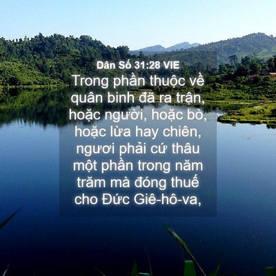 Picture 04 - Dân Số 31:28 VIE - Trong phần thuộc về quân binh đã ra - Bible Verse Picture