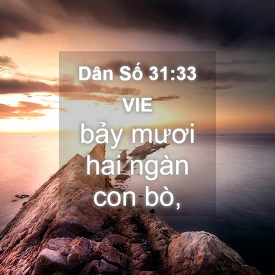 Picture 04 - Dân Số 31:33 VIE - bảy mươi hai ngàn con - Bible Verse Picture