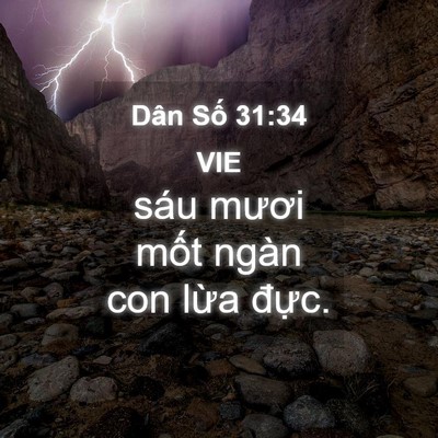 Picture 04 - Dân Số 31:34 VIE - sáu mươi mốt ngàn con lừa - Bible Verse Picture