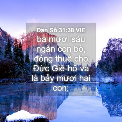 Picture 04 - Dân Số 31:38 VIE - ba mươi sáu ngàn con bò, đóng thuế cho - Bible Verse Picture