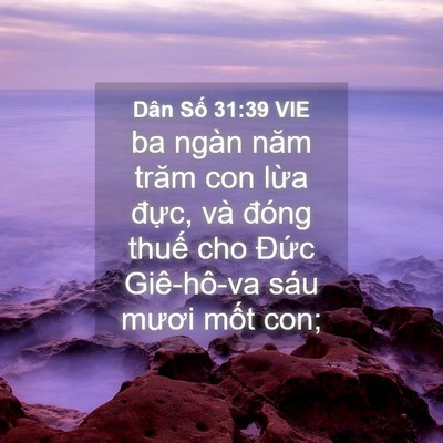 Picture 04 - Dân Số 31:39 VIE - ba ngàn năm trăm con lừa đực, và đóng - Bible Verse Picture
