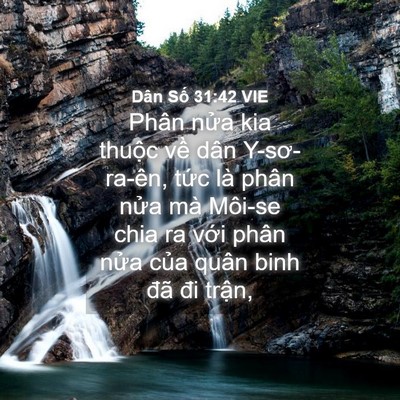 Picture 04 - Dân Số 31:42 VIE - Phân nửa kia thuộc về dân Y-sơ-ra-ên, - Bible Verse Picture