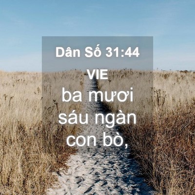 Picture 04 - Dân Số 31:44 VIE - ba mươi sáu ngàn con - Bible Verse Picture