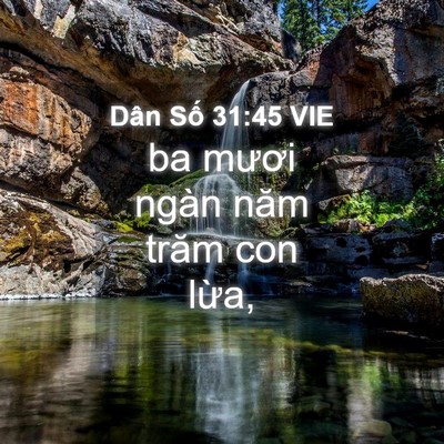 Picture 04 - Dân Số 31:45 VIE - ba mươi ngàn năm trăm con - Bible Verse Picture