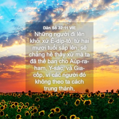 Picture 04 - Dân Số 32:11 VIE - Những người đi lên khỏi xứ - Bible Verse Picture