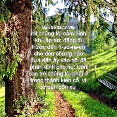 Picture 04 - Dân Số 32:17 VIE - rồi chúng tôi cầm binh khí lập tức - Bible Verse Picture