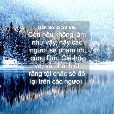 Picture 04 - Dân Số 32:23 VIE - Còn nếu không làm như vậy, nầy các - Bible Verse Picture