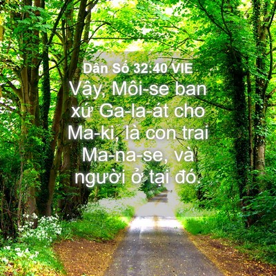 Picture 04 - Dân Số 32:40 VIE - Vậy, Môi-se ban xứ Ga-la-át cho Ma-ki, là - Bible Verse Picture