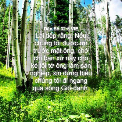 Picture 04 - Dân Số 32:5 VIE - Lại tiếp rằng: Nếu chúng tôi được - Bible Verse Picture
