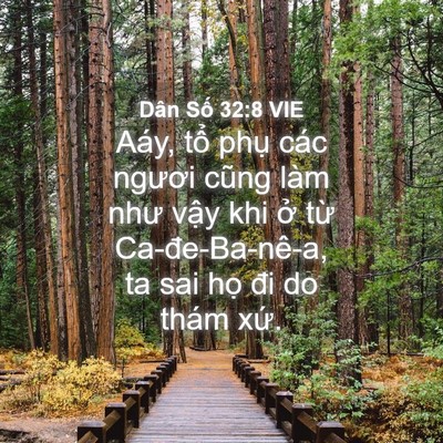 Picture 04 - Dân Số 32:8 VIE - Aáy, tổ phụ các ngươi cũng làm như - Bible Verse Picture