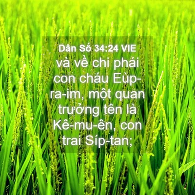 Picture 04 - Dân Số 34:24 VIE - và về chi phái con cháu Eùp-ra-im, một - Bible Verse Picture