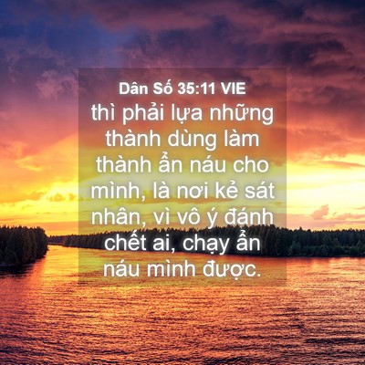 Picture 04 - Dân Số 35:11 VIE - thì phải lựa những thành dùng làm - Bible Verse Picture