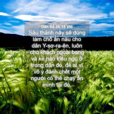 Picture 04 - Dân Số 35:15 VIE - Sáu thành nầy sẽ dùng làm chỗ ẩn náu - Bible Verse Picture
