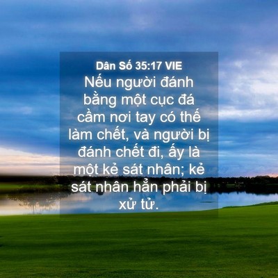 Picture 04 - Dân Số 35:17 VIE - Nếu người đánh bằng một cục đá - Bible Verse Picture