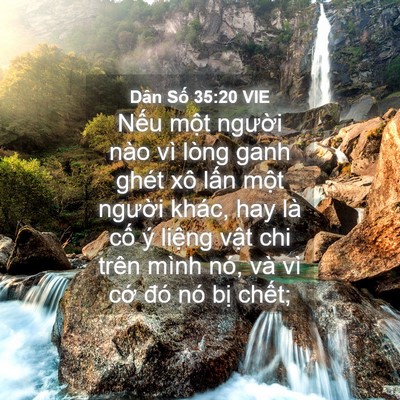 Picture 04 - Dân Số 35:20 VIE - Nếu một người nào vì lòng ganh ghét - Bible Verse Picture