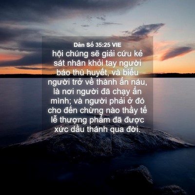 Picture 04 - Dân Số 35:25 VIE - hội chúng sẽ giải cứu kẻ sát nhân - Bible Verse Picture