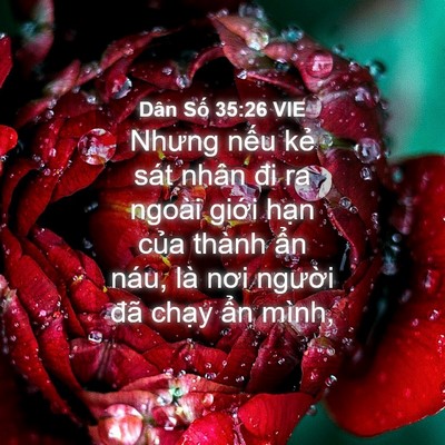 Picture 04 - Dân Số 35:26 VIE - Nhưng nếu kẻ sát nhân đi ra ngoài giới - Bible Verse Picture
