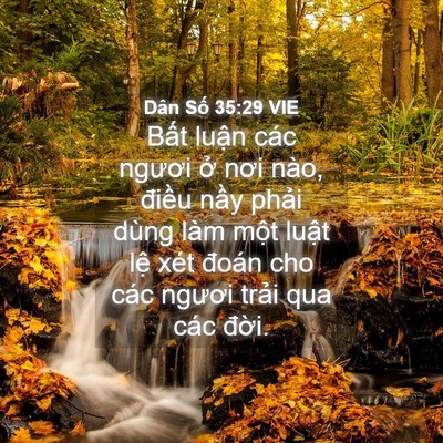 Picture 04 - Dân Số 35:29 VIE - Bất luận các ngươi ở nơi nào, điều - Bible Verse Picture
